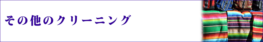 その他クリーニング