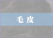 毛皮のクリーニング